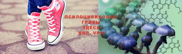 кокаин Алексеевка