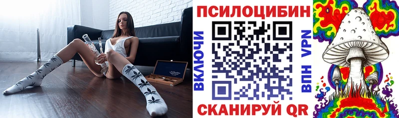 закладка  Алексин  Псилоцибиновые грибы Magic Shrooms 